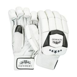 Newbery 5 Star Batting Gloves 2024