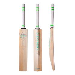 Newbery Kudos 5 Star Junior Cricket Bat 2023