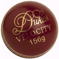 Dukes Velocity Cricket Ball  Red