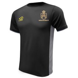 Ashford in the Water CC Masuri Cricket Training Shirt Black  Snr