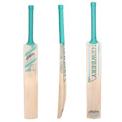 Newbery Kudos Kashmir Junior Cricket Bat 2026