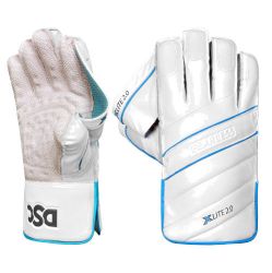 DS XLite 2.0 Wicket Keeping Gloves 2024