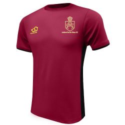 Ashford in the Water CC Masuri Cricket Training Shirt Maroon  Snr